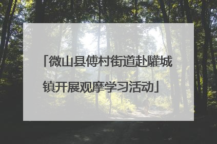 微山县傅村街道赴驩城镇开展观摩学习活动