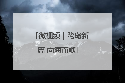 微视频｜鹭岛新篇 向海而歌