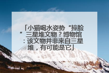 小猫喝水姿势“撞脸”三星堆文物？博物馆：该文物并非来自三星堆，有可能是它