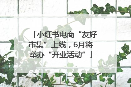 小红书电商“友好市集”上线，6月将举办“开业活动”