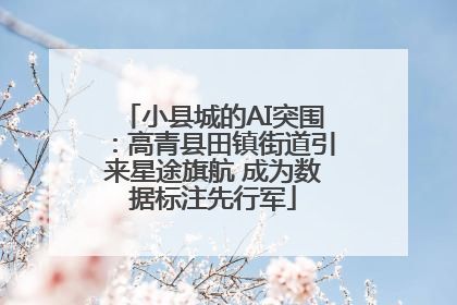 小县城的AI突围：高青县田镇街道引来星途旗航 成为数据标注先行军