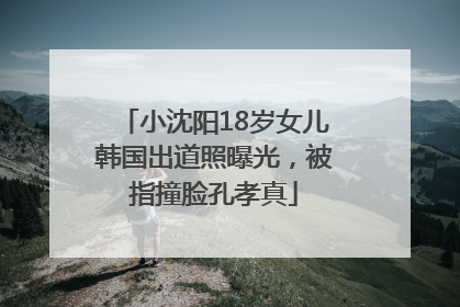 小沈阳18岁女儿韩国出道照曝光，被指撞脸孔孝真