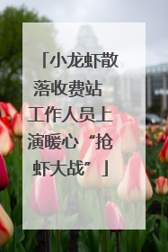 小龙虾散落收费站 工作人员上演暖心“抢虾大战”