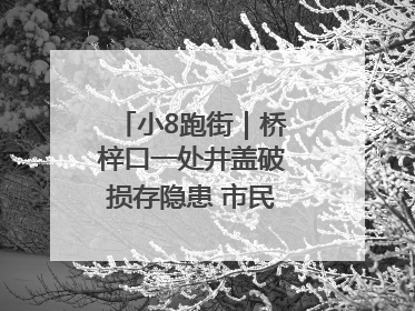 小8跑街｜桥梓口一处井盖破损存隐患 市民盼立即整修