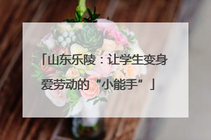 山东乐陵：让学生变身爱劳动的“小能手”