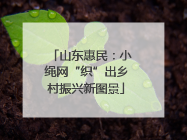 山东惠民：小绳网“织”出乡村振兴新图景