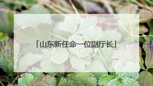 山东新任命一位副厅长