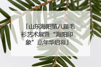 山东海阳第八届毛衫艺术展暨“海阳印象”嘉年华启幕
