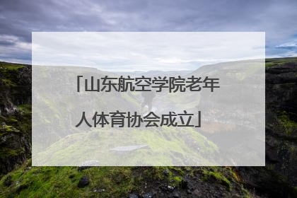 山东航空学院老年人体育协会成立