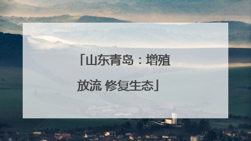 山东青岛：增殖放流 修复生态