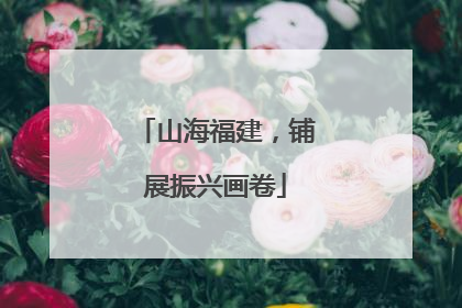 山海福建，铺展振兴画卷