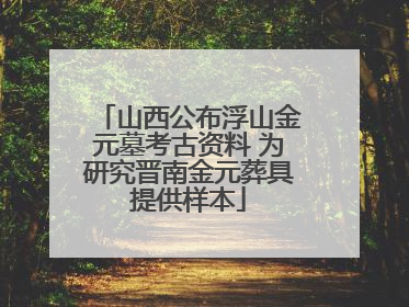 山西公布浮山金元墓考古资料 为研究晋南金元葬具提供样本