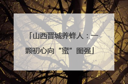 山西晋城养蜂人：一颗初心向“蜜”图强