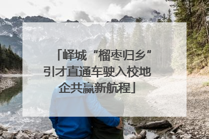 峄城“榴枣归乡”引才直通车驶入校地企共赢新航程