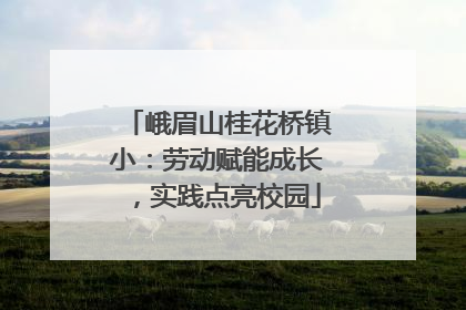 峨眉山桂花桥镇小：劳动赋能成长，实践点亮校园