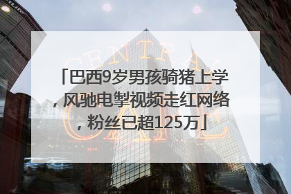 巴西9岁男孩骑猪上学，风驰电掣视频走红网络，粉丝已超125万