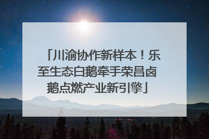 川渝协作新样本！乐至生态白鹅牵手荣昌卤鹅点燃产业新引擎