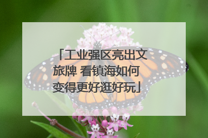 工业强区亮出文旅牌 看镇海如何变得更好逛好玩