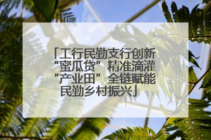 工行民勤支行创新“蜜瓜贷”精准滴灌“产业田”全链赋能民勤乡村振兴