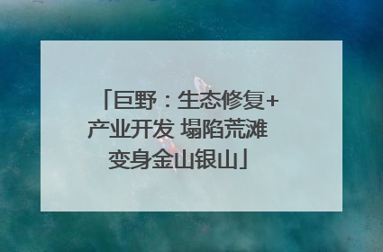 巨野：生态修复+产业开发 塌陷荒滩变身金山银山
