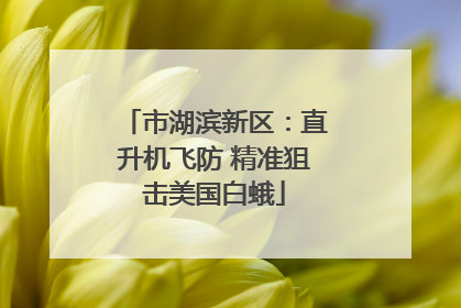 市湖滨新区：直升机飞防 精准狙击美国白蛾