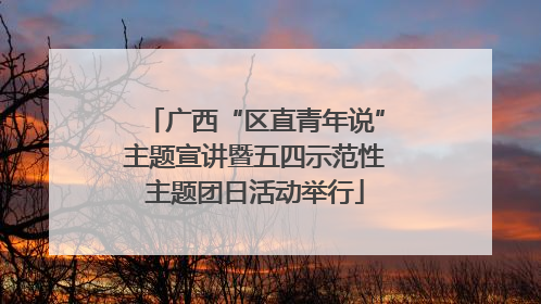 广西“区直青年说”主题宣讲暨五四示范性主题团日活动举行