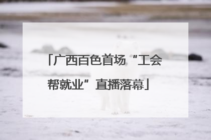 广西百色首场“工会帮就业”直播落幕
