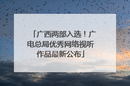 广西两部入选！广电总局优秀网络视听作品最新公布