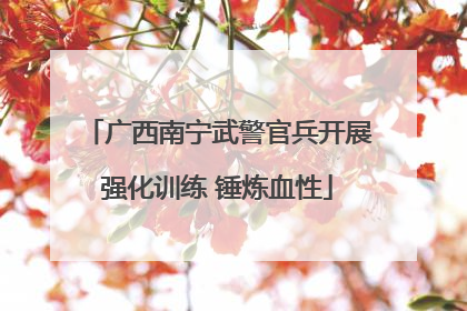 广西南宁武警官兵开展强化训练 锤炼血性