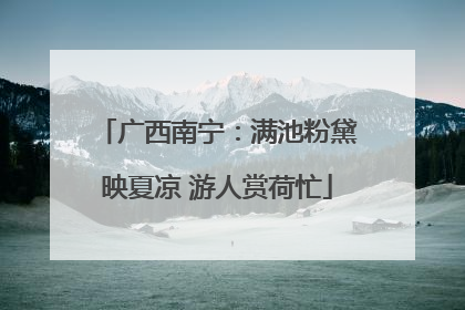 广西南宁：满池粉黛映夏凉 游人赏荷忙