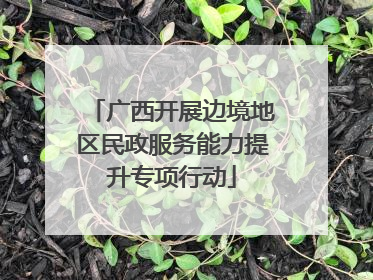 广西开展边境地区民政服务能力提升专项行动