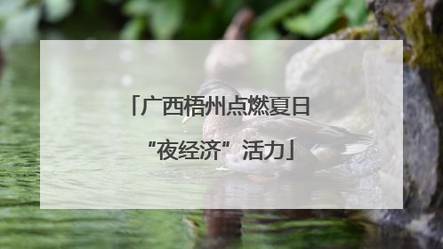 广西梧州点燃夏日“夜经济”活力