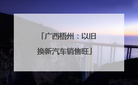 广西梧州：以旧换新汽车销售旺