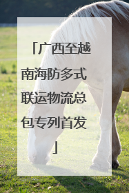 广西至越南海防多式联运物流总包专列首发