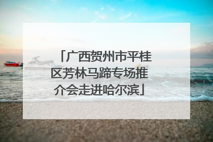 广西贺州市平桂区芳林马蹄专场推介会走进哈尔滨