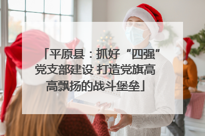 平原县：抓好“四强”党支部建设 打造党旗高高飘扬的战斗堡垒
