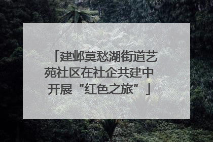 建邺莫愁湖街道艺苑社区在社企共建中开展“红色之旅”