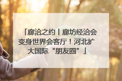 廊洽之约丨廊坊经洽会变身世界会客厅！河北扩大国际“朋友圈”