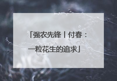 强农先锋丨付春：一粒花生的追求