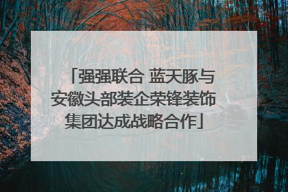 强强联合 蓝天豚与安徽头部装企荣锋装饰集团达成战略合作