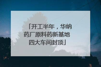 开工半年，华纳药厂原料药新基地四大车间封顶