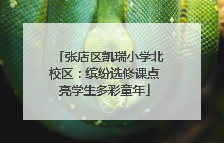 张店区凯瑞小学北校区：缤纷选修课点亮学生多彩童年