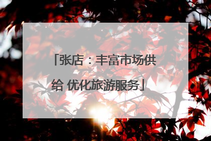 张店：丰富市场供给 优化旅游服务