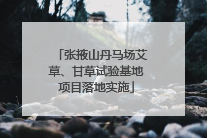 张掖山丹马场艾草、甘草试验基地项目落地实施