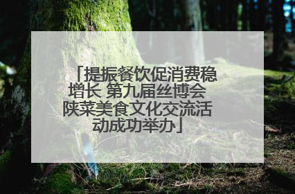 提振餐饮促消费稳增长 第九届丝博会陕菜美食文化交流活动成功举办