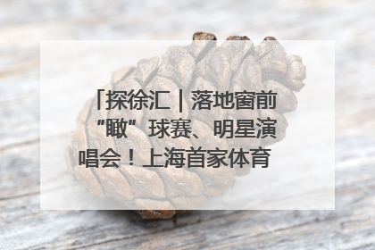 探徐汇｜落地窗前“瞰”球赛、明星演唱会！上海首家体育特色高端酒店亮相