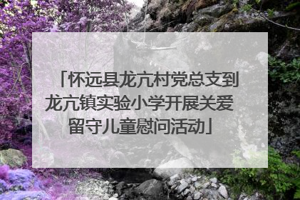 怀远县龙亢村党总支到龙亢镇实验小学开展关爱留守儿童慰问活动