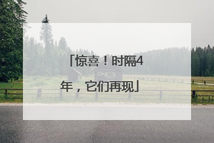 惊喜！时隔4年，它们再现
