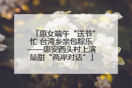 惠女端午“送节”忙 台湾乡亲包粽乐——惠安西头村上演最甜“两岸对话”