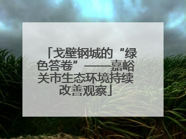 戈壁钢城的“绿色答卷”——嘉峪关市生态环境持续改善观察